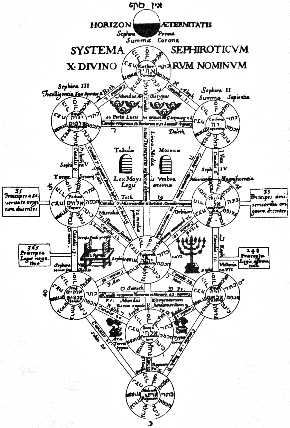 tree of life detail